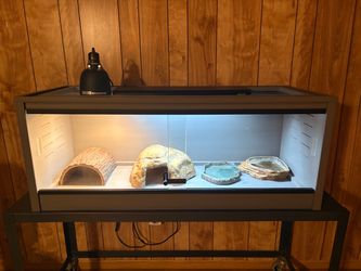 Reptile terrarium tank with accessories