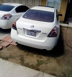 2010 Nissan Altima