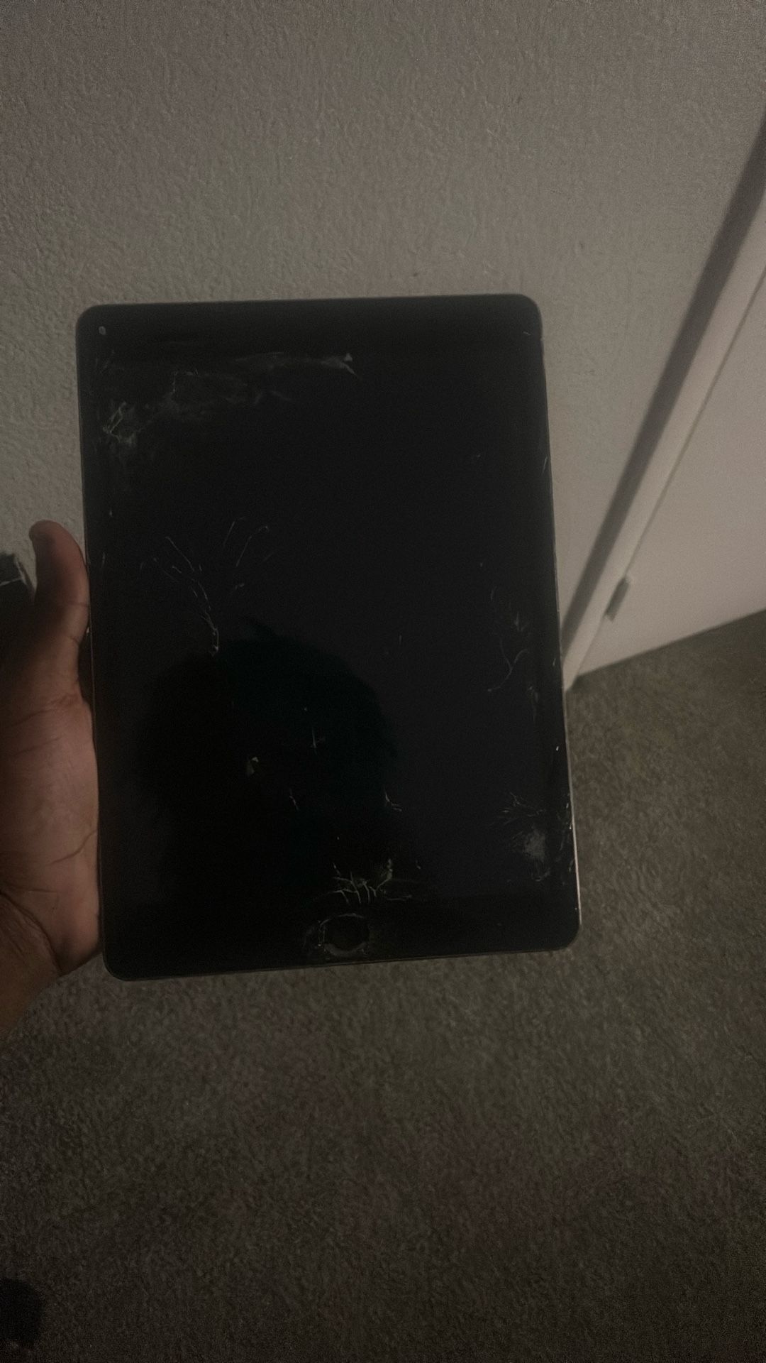 ipad mini 2