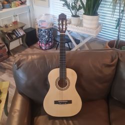 Acoustic Guitar 