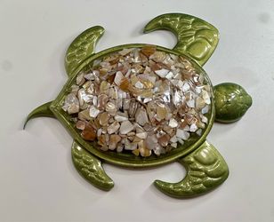 Cool Epoxy Turtle Filled w/ Seashells