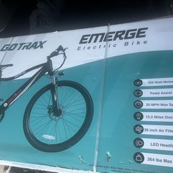 Electric Bike