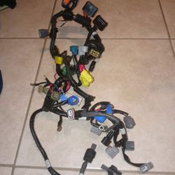 Yamaha Outboard Motor Harness