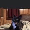 Bella