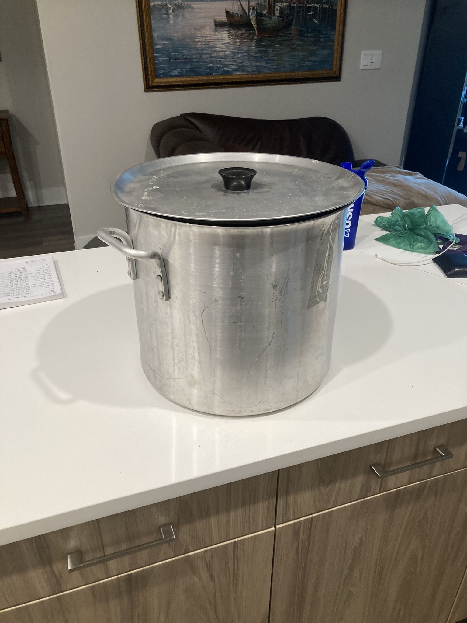 32 Liter Stainless Steel Cooking Pot
