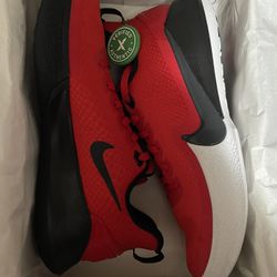 Nike Mamba Focus