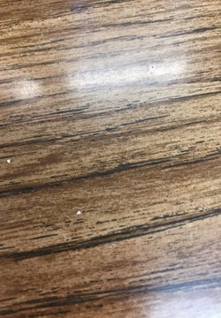 TWO BRAD PAISLEY TICKETS SEC 126 ROW CC SEATS 10-11 $120 SOLD