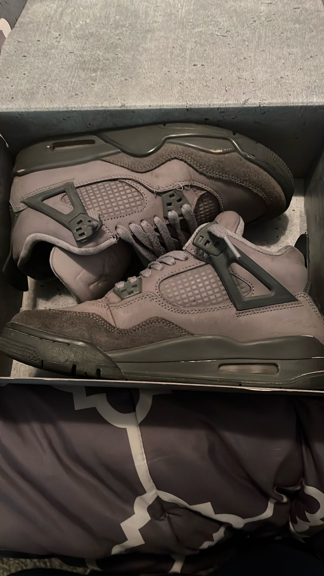 Jordan 4s