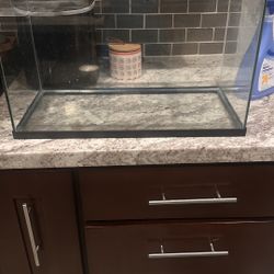 fish Tanks 
