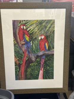 Framed And Signed Parrot Painting
