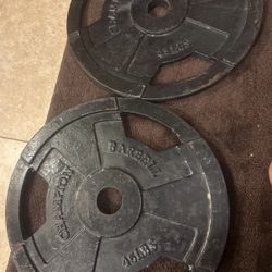45 lb Pair CHAMPION EZ grip Weight Plates Olympic Size 2”