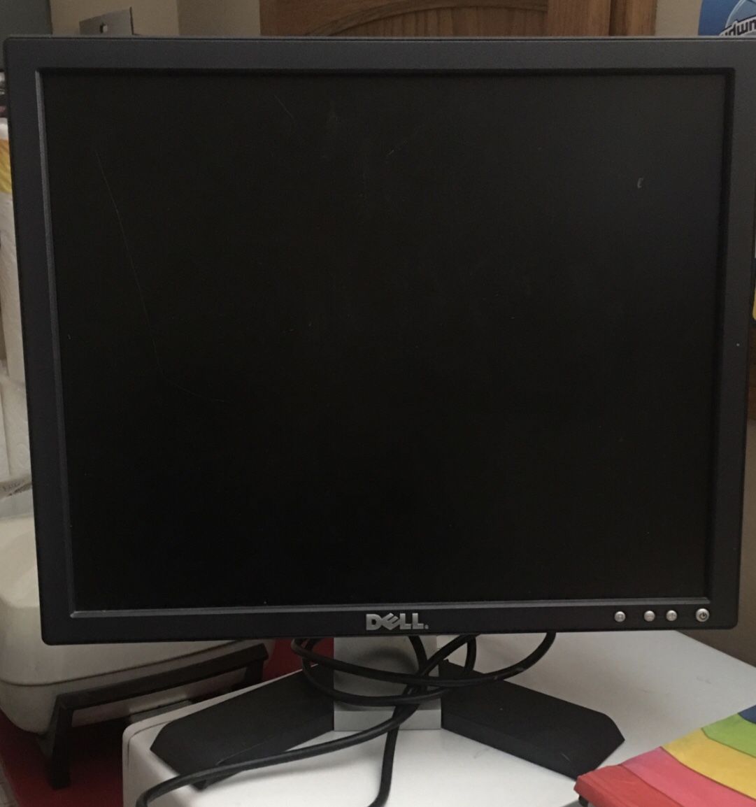 DELL Computer Monitor 