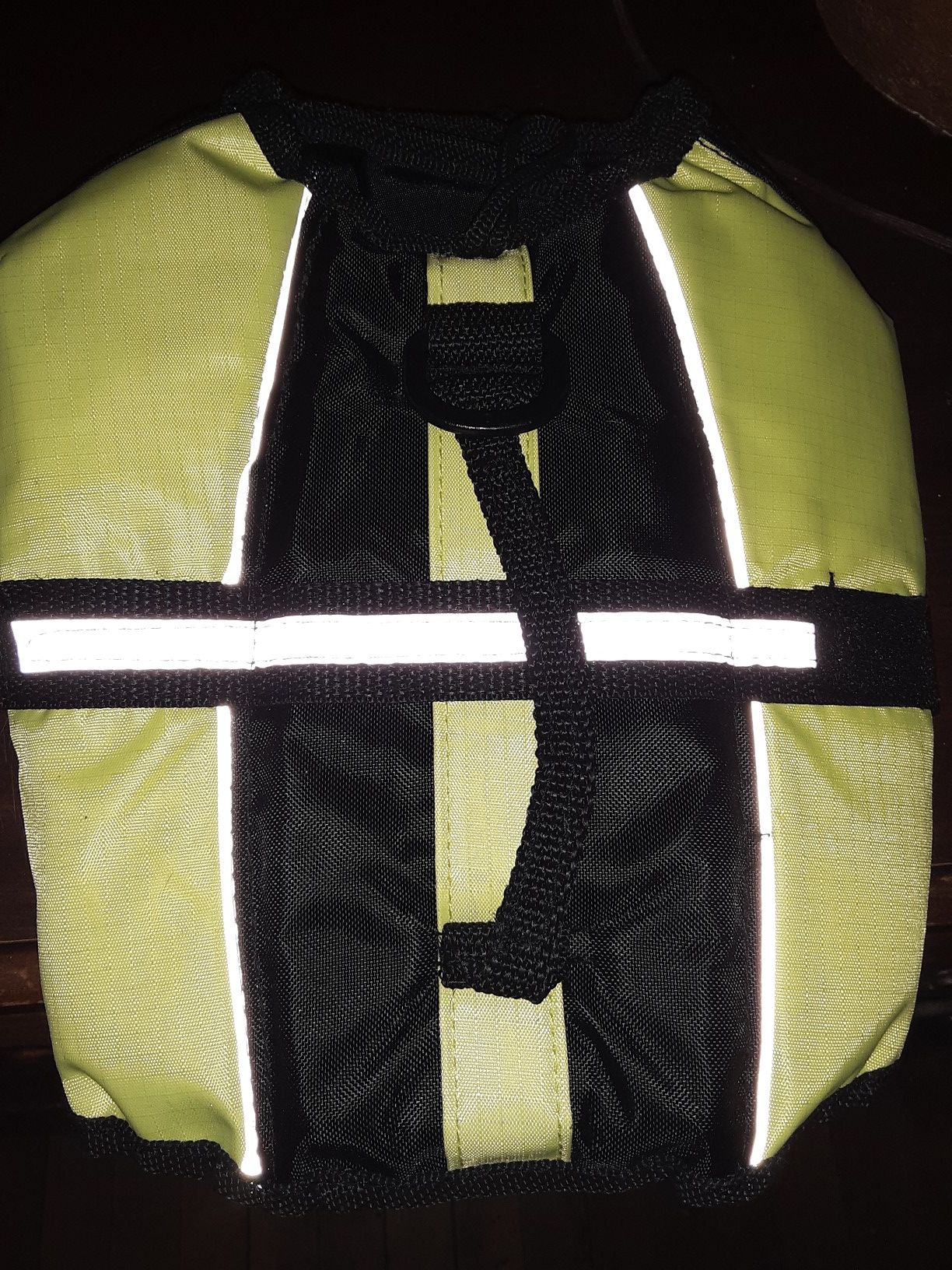 Xs dog swim vest
