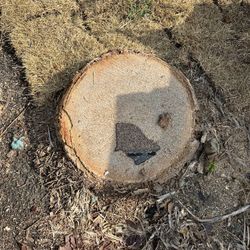 Stump Grinding 