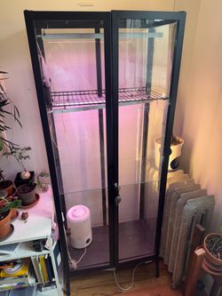 Converted Plant Cabinet/Greenhouse
