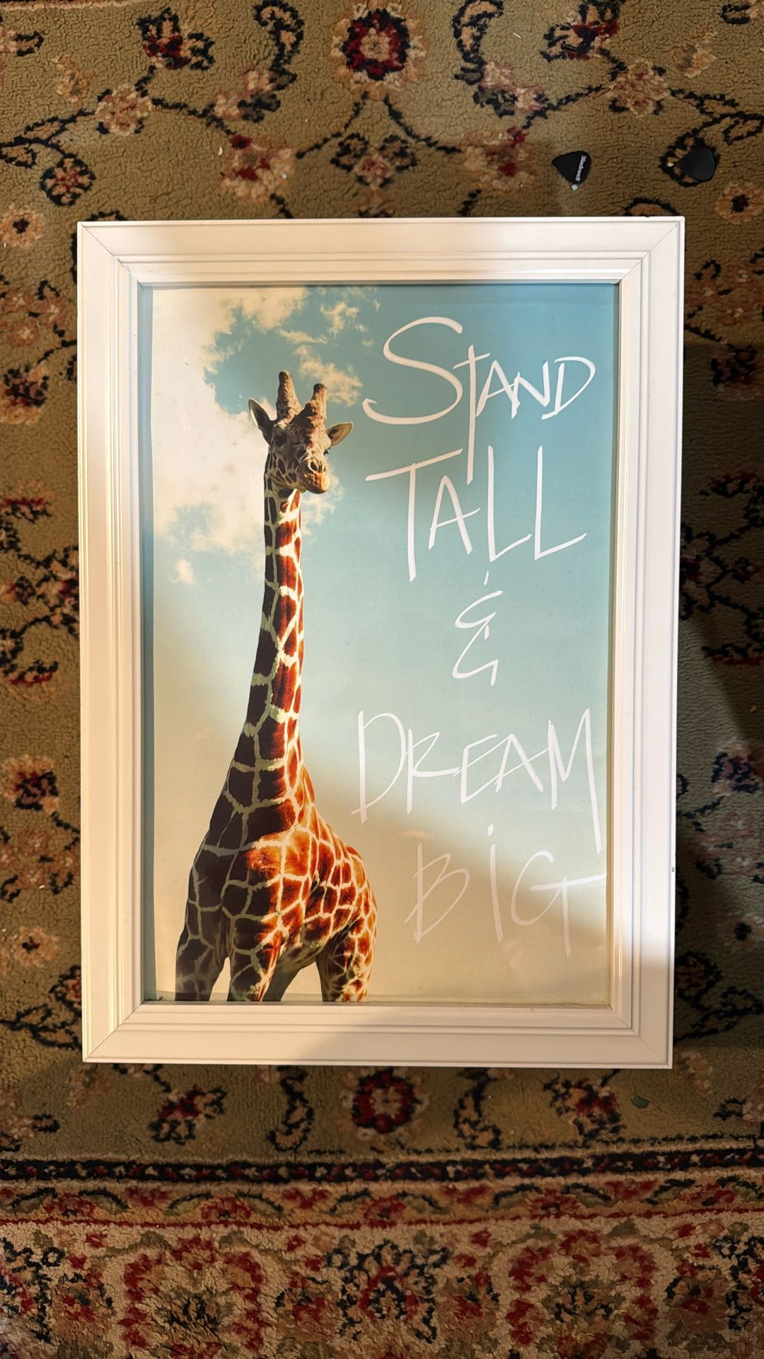 Giraffe Picture And Frame “Stand Tall & Dream Big”