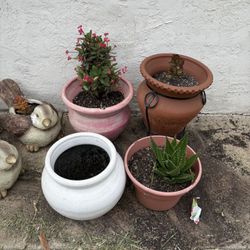 Pots Different Prices