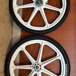 24" Skyway Tuff Wheel 2 Mags