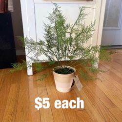 22” Faux Fern Potted Plant- Heart and Hand With Magnolia 