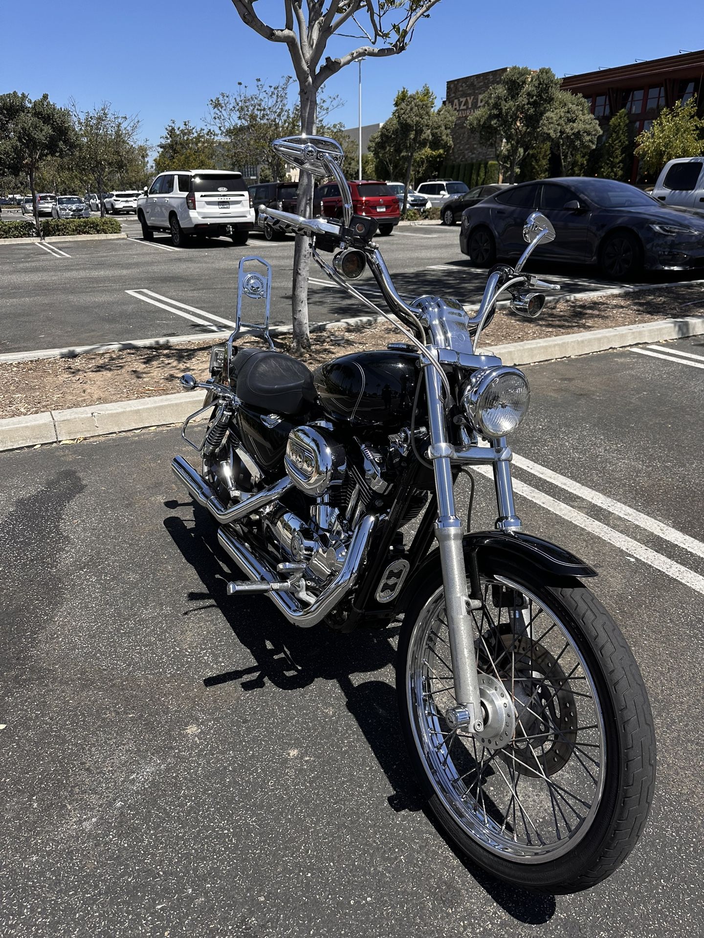 2004 Harley Davidson Sportster xl 1200 c