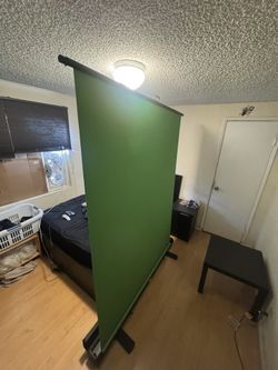 El Gato Green Screen