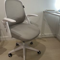 wayfair office chair