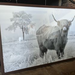 Highland Cow Wall Decor