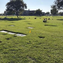 Oakdale Memorial Park Cemetery Plots - Garden Of Eternal Peace
