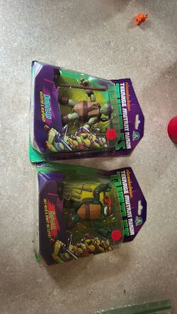 Nickelodeon ninja turtles Donatello and Ralph