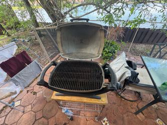 Weber Q100 Portable Gas Grill – Works Great