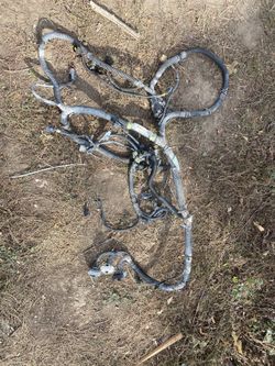 2001 Dodge Ram Wire harness 5.9