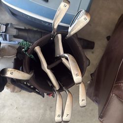 Bag+clubs (5-gap wedge)