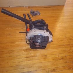 Echo Leaf Blower
