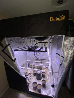 5x5 Grow Tent Gorilla Grow Ac Infinity Optic Led Grow Pots Mars Hydro