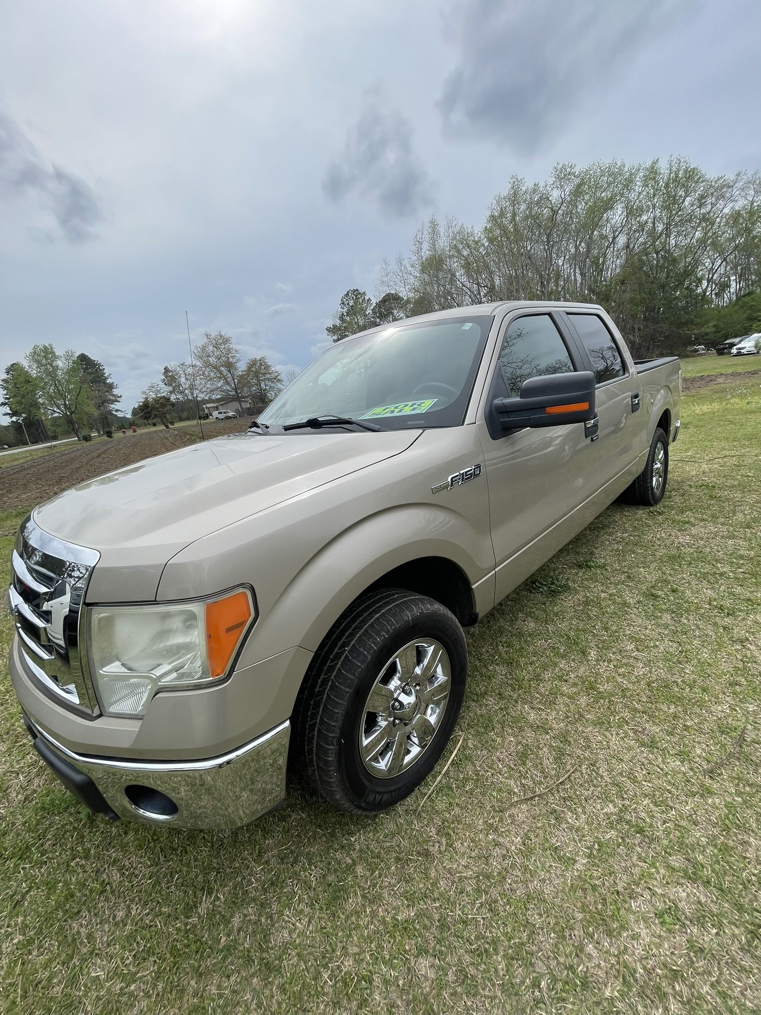 2009 Ford F-150