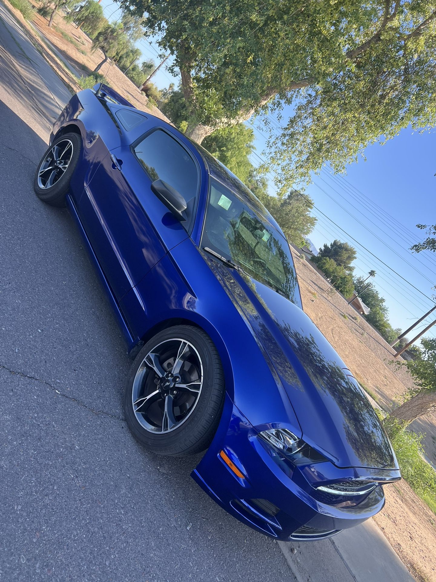 2014 Ford Mustang