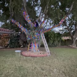 Christmas Light Install 