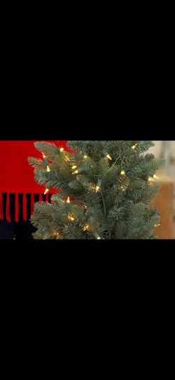 Bethlehem Christmas tree