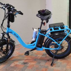2019 Veego 750 Fat Tire Electric Bike Has Throttle, 28mph Top Speed 48 Volt 750watt Motor TWO BATTERIES AND OrtliebE-Mate Pannier HOLDS SPARE BATTERY 