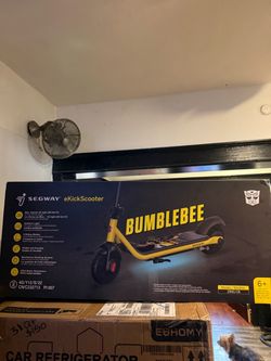 Segway eKickScooter Bumblebee Zing C8