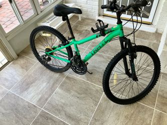 24inch Trayl Bike