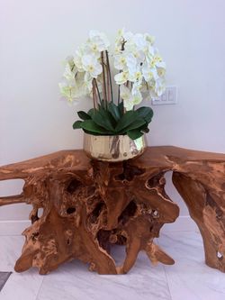 Orchid Arrangement