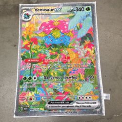 Venusaur  EX RUG!!
