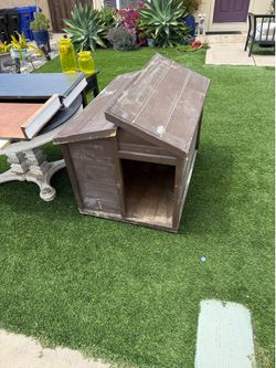 Dog House