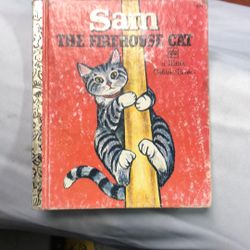 sam the firehouse cat