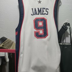 LeBron James All Star Jersey