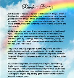 DOONEY BOURKE  LADIES PURSES