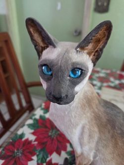 Large Realistic Siamese Cat Statue With Blue Eyes