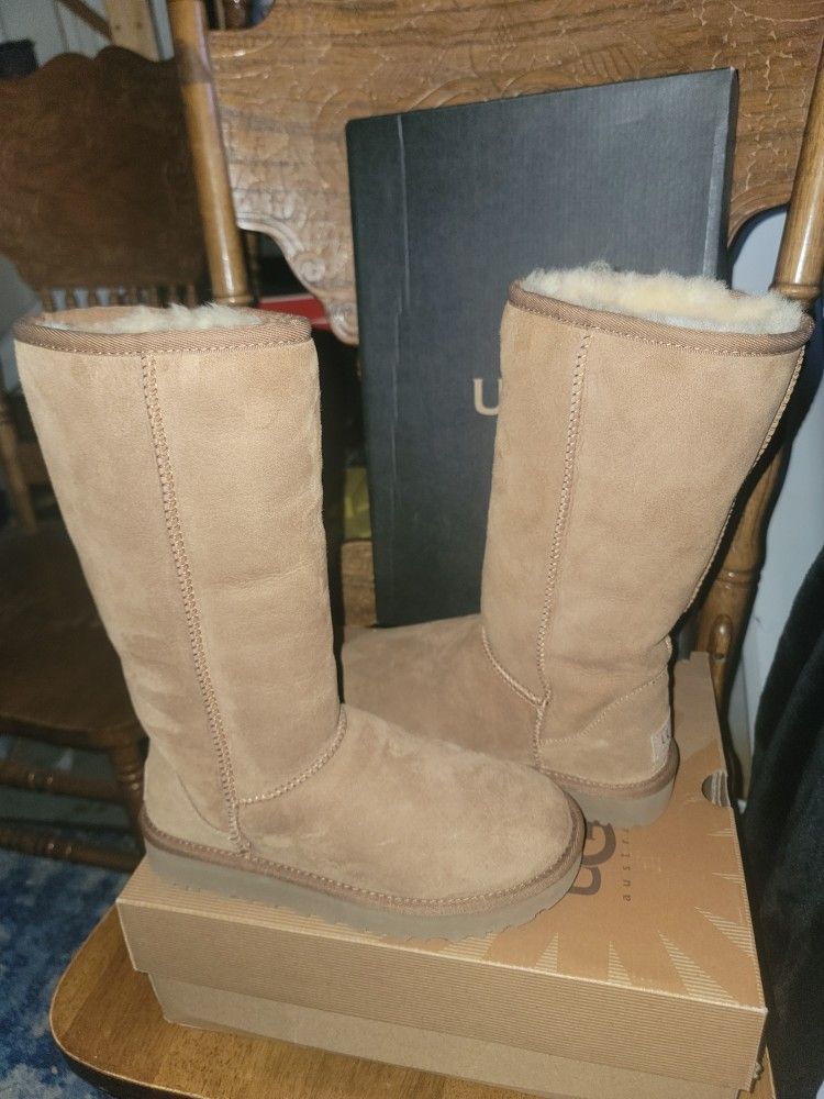 Uggs Classic Tall