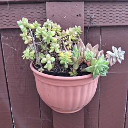 Set Of Four Used But Clean Wall Planters
